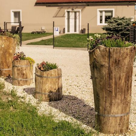 Апартаменты Apartament Pod Lasem Олджиховице-Клодзке Экстерьер фото